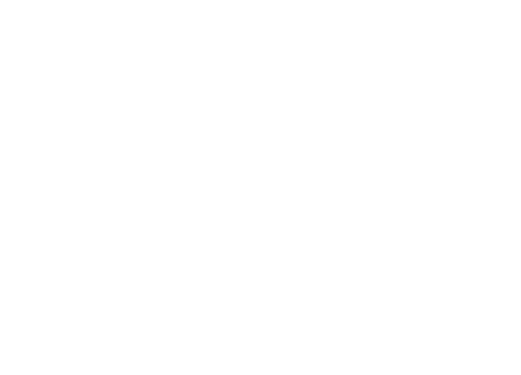 Apple pay